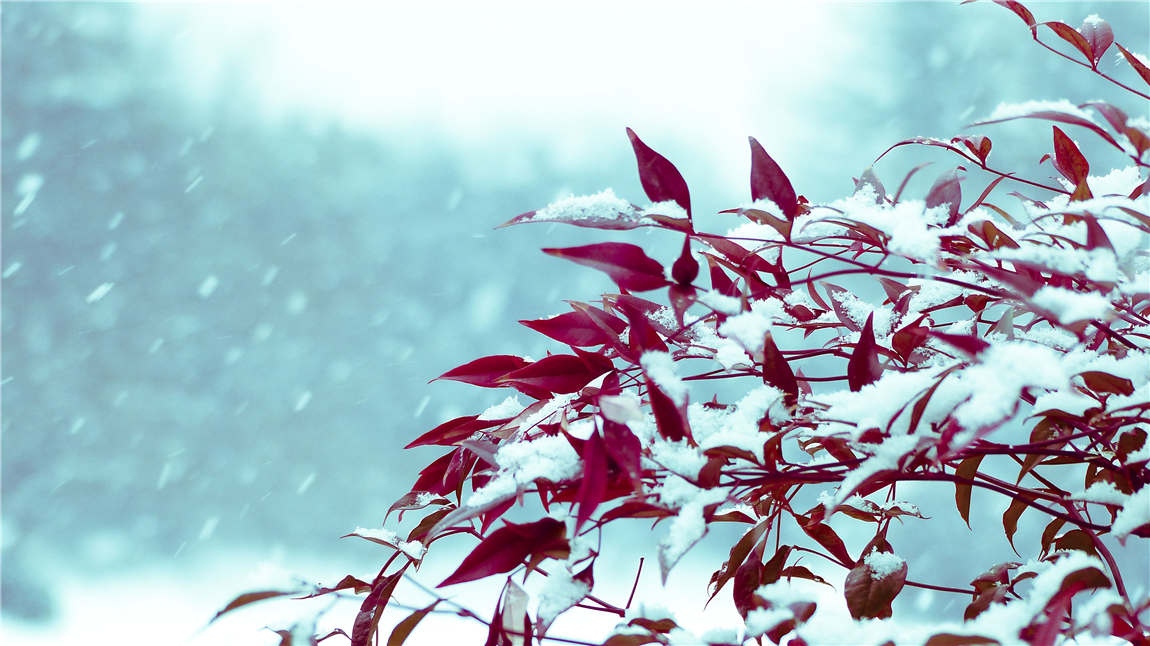 X《听雪》.jpg
