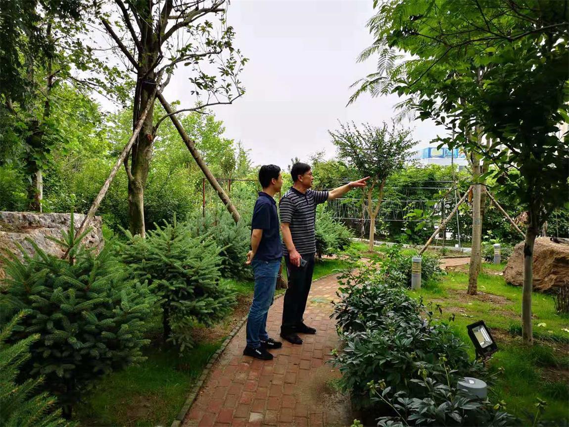 微信图片_20190630151256.jpg