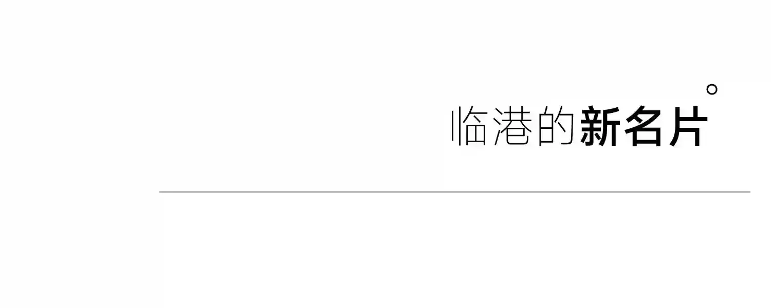 临港的新名片