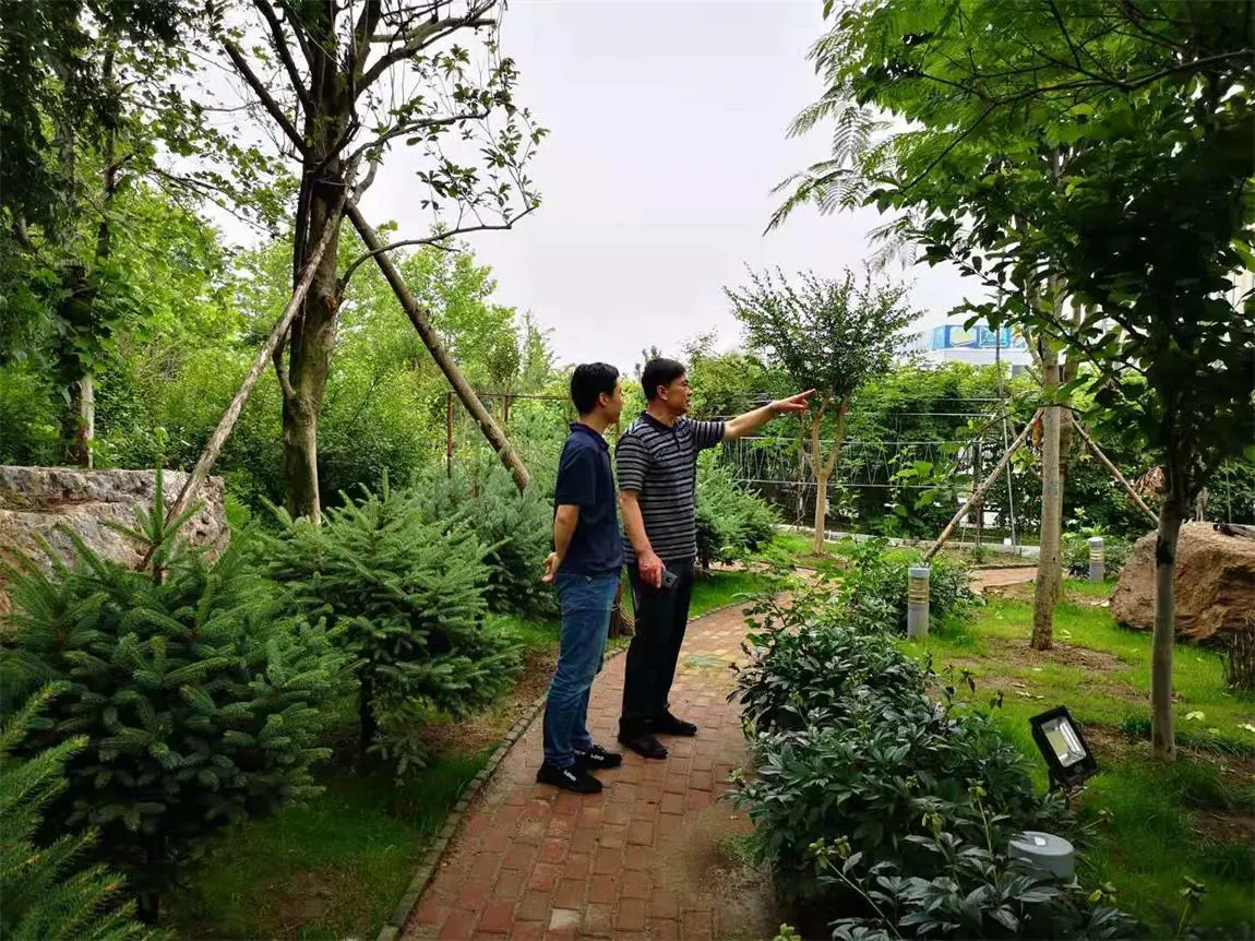 微信图片_20190630151256.webp