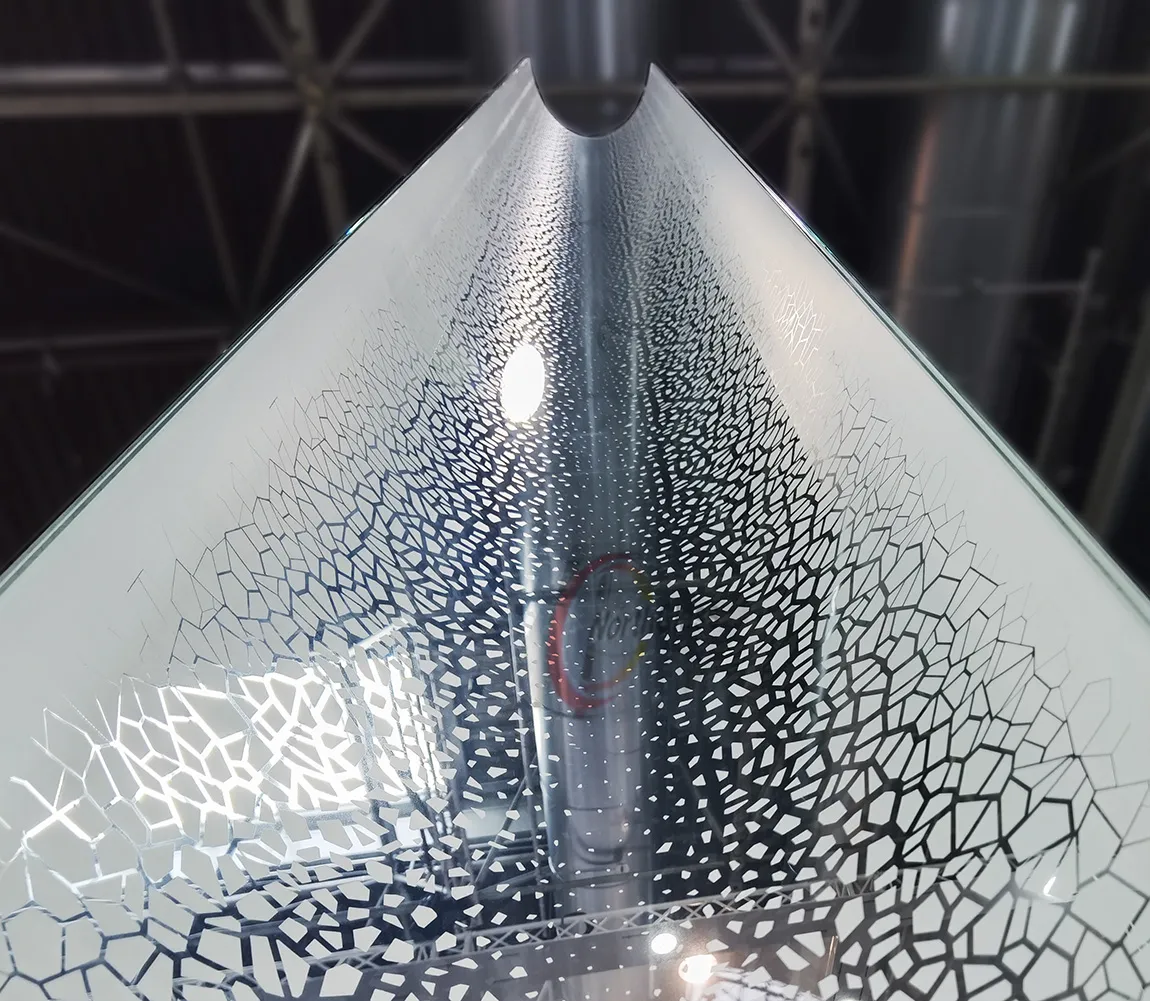 6.webp